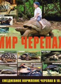 Купить билет на Мир черепах