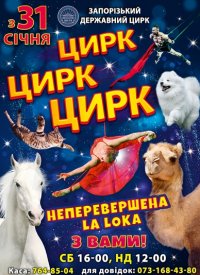 Купить билет на Цирк Цирк Цирк