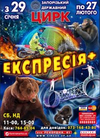 Купить билет на Цирковое шоу «Експресія +»