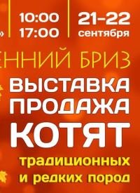 Купить билет на Выставка котят «Осенний бриз»