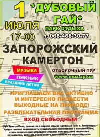 Купить билет на Запорожский камертон