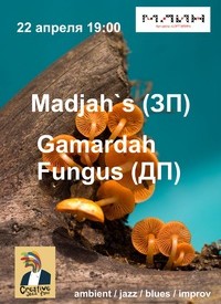  Madjah`s  Gamardah Fungus