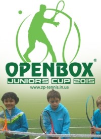    Openbox Juniors Cup