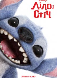 ˳  