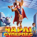 ���� ��������