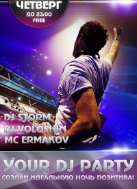 Your Dj Party