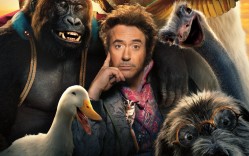 �������� ����� ����� ������� �������� ��������