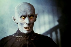 ��������� ���� ���������� ����� ������� ����� �������