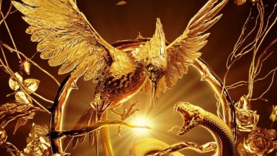 ϳ ĳ  ³  -            -      