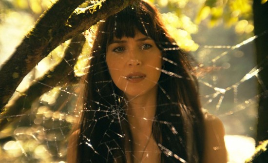  : "Madame Web"     - Sony