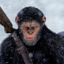 ����������� �������� �������� �������� �������� � ������������