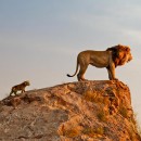 ������� ��� 2� ������� � ������������