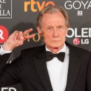 ���� ���� �������� � ������� ������ ����� ��������