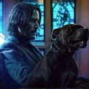 �������� ������ ���� ������� ����� ������ � ������� ������