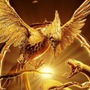 ϳ ĳ  ³  -            -      