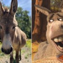 ,          "",     30 