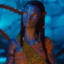 ����-���� ���. ���� �������� ������