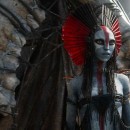 ����-���� ���. ������ ����� ����